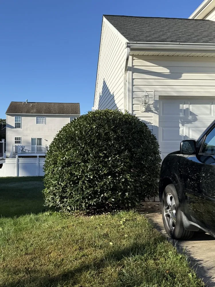 Professional yard maintenance in Abingdon, MD - Precision Outdoor Lawn Care & Landscaping