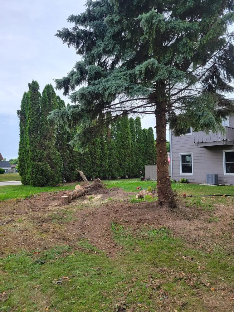 Local landscape installation for year-round maintenance across Waldo, WI - Precision Outdoor Services