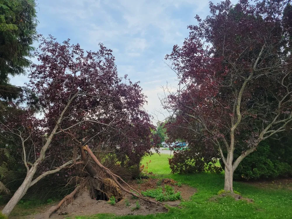 Custom landscape installation experts serving Waldo, WI - Precision Outdoor Services