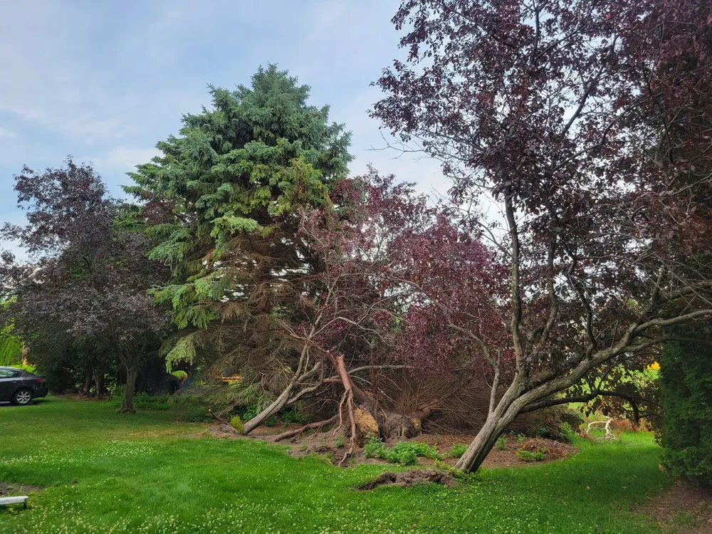 Trusted landscape installation for outdoor upgrades in Waldo, WI by Precision Outdoor Services