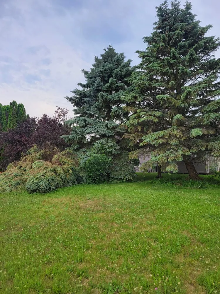 Professional landscape design experts serving Waldo, WI - Precision Outdoor Services