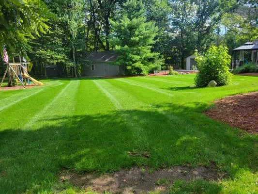 Precision Outdoor Services