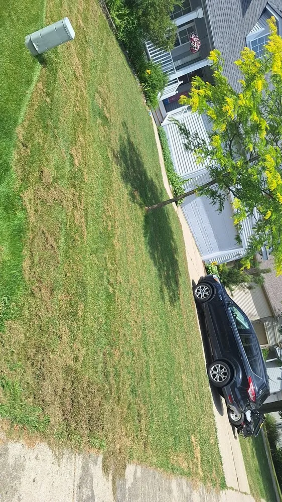 Expert lawn care service for residential properties in Waterford Township, MI by Precision Paving and Sealing