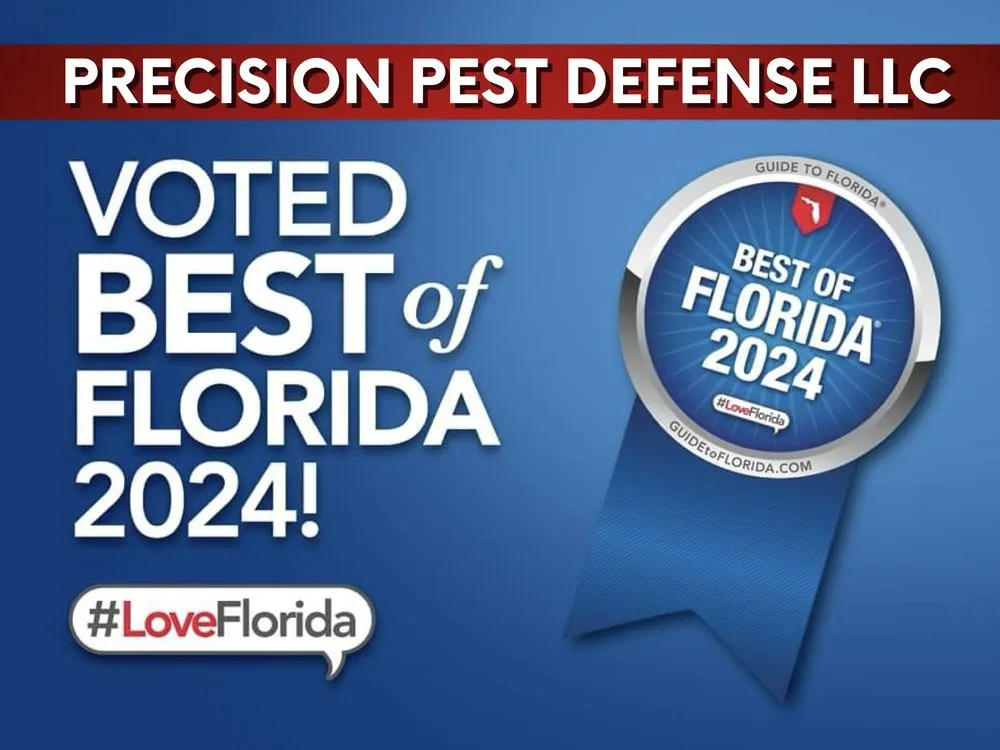 Trusted yard cleanup service experts serving Port Charlotte, FL - Precision Pest Defense