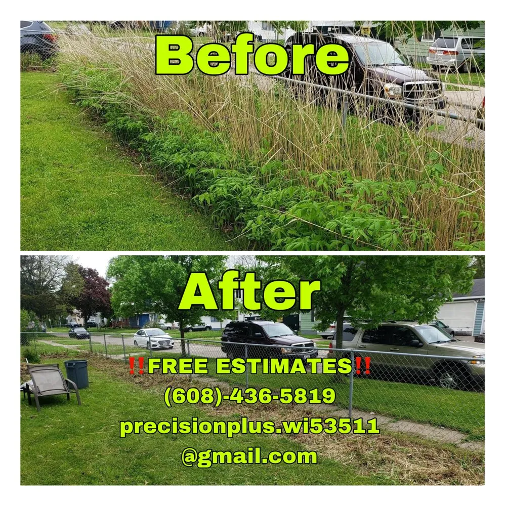 Professional landscape design for beautiful yards across Beloit, WI - Precision Plus