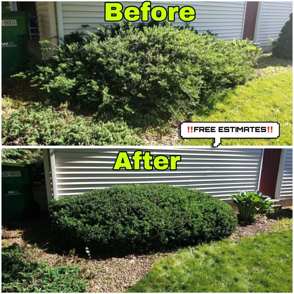 Local lawn mowing service experts serving Beloit, WI - Precision Plus