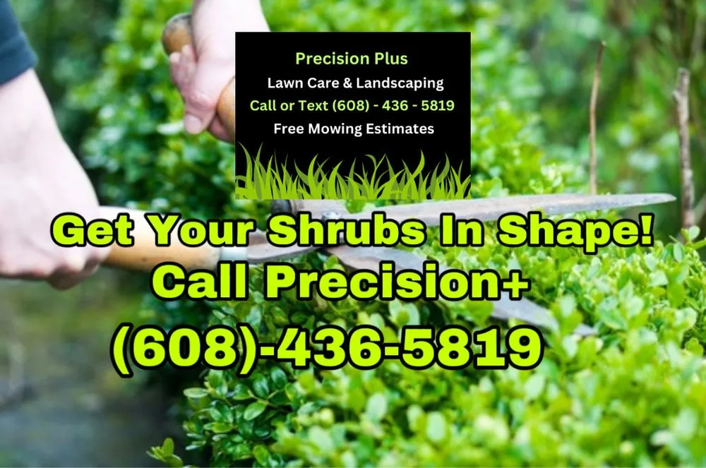 Affordable outdoor landscaping experts serving Beloit, WI - Precision Plus
