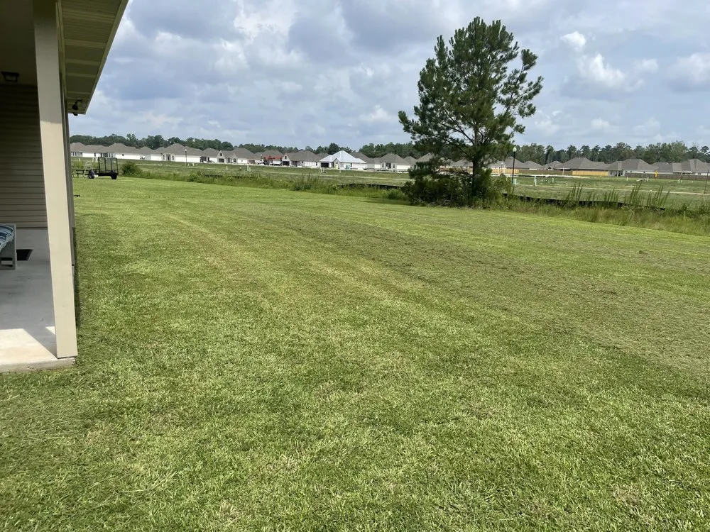 Expert lawn care service in Albany, LA - Precision Plus Lawn Care