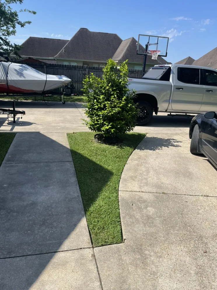 Local landscaping services experts serving Albany, LA - Precision Plus Lawn Care