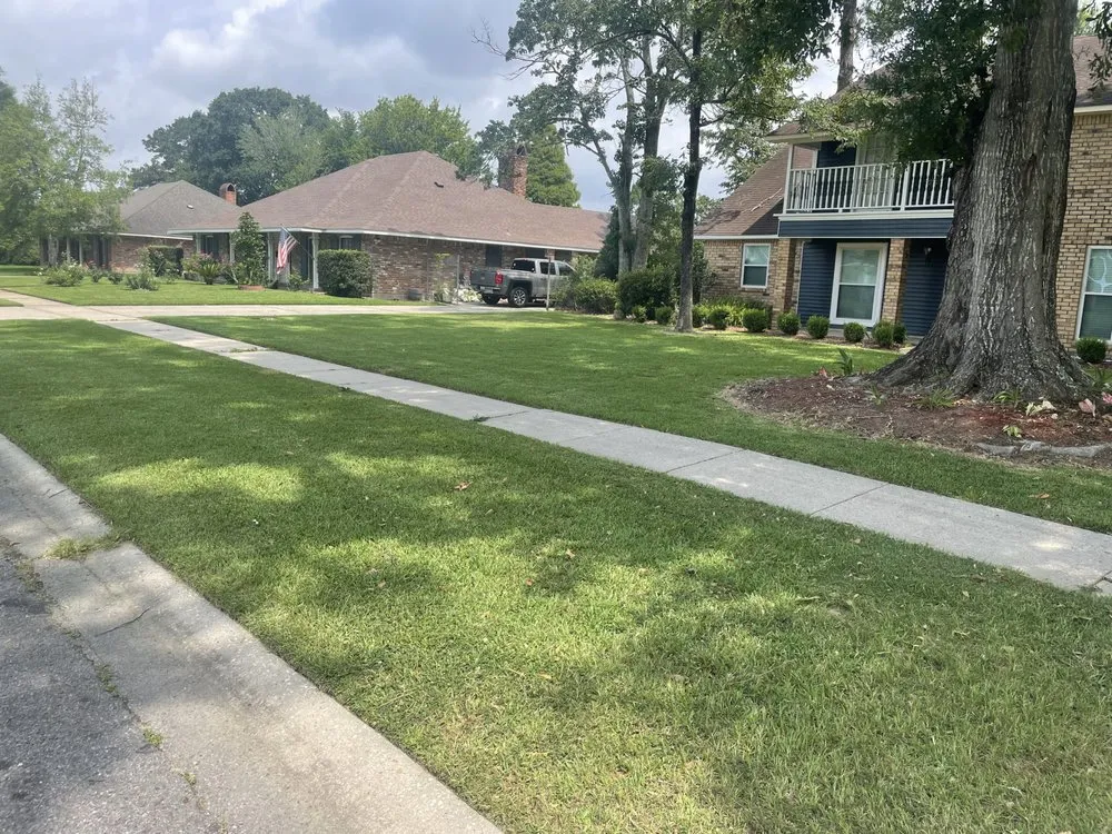 Professional landscape design in Albany, LA - Precision Plus Lawn Care
