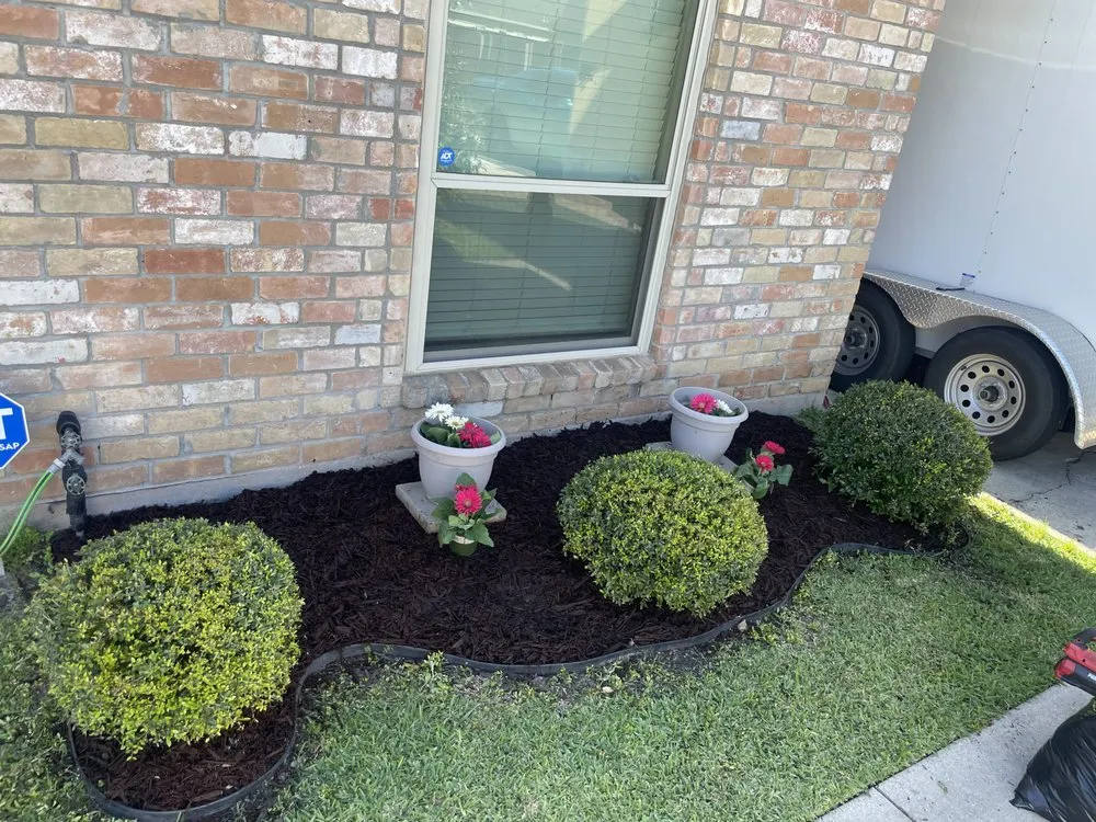 Local yard maintenance experts serving Albany, LA - Precision Plus Lawn Care