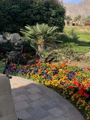 Precision Pools & Services Logo