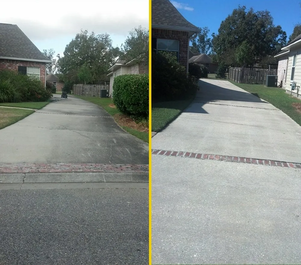 Affordable yard cleanup service in Kissimmee, FL - Precision Power Pros