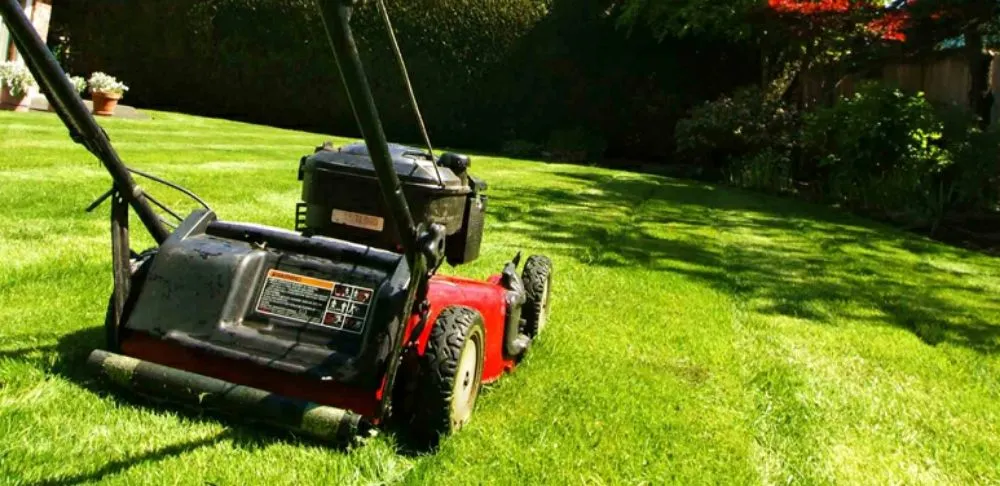 Reliable landscaping services for outdoor upgrades across Kissimmee, FL - Precision Power Pros