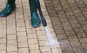 Top-rated yard cleanup service for residential properties in Catonsville, MD by Precision pressure Wash and maintenance