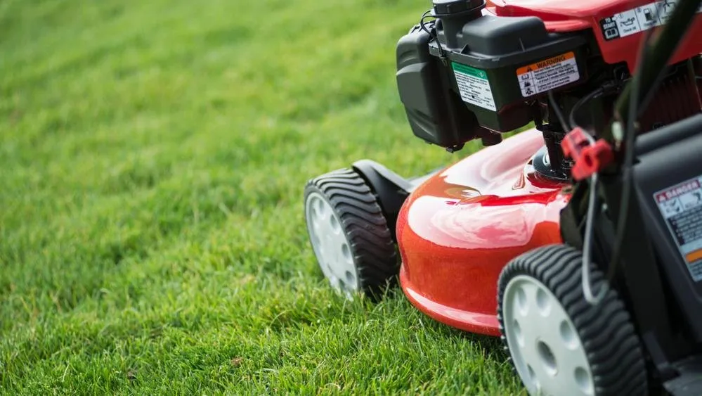 Affordable garden landscaping near you in Valdosta, GA by Precision Pro Lawn Care