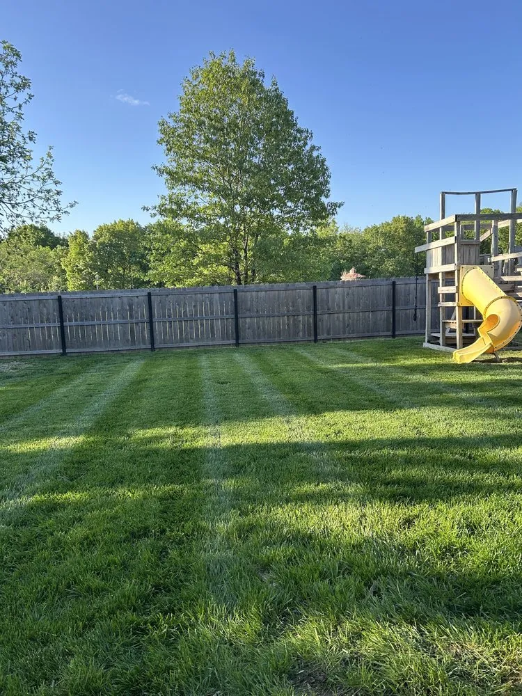 Professional yard cleanup service in Carl Junction, MO by Precision Property & Lawn Management