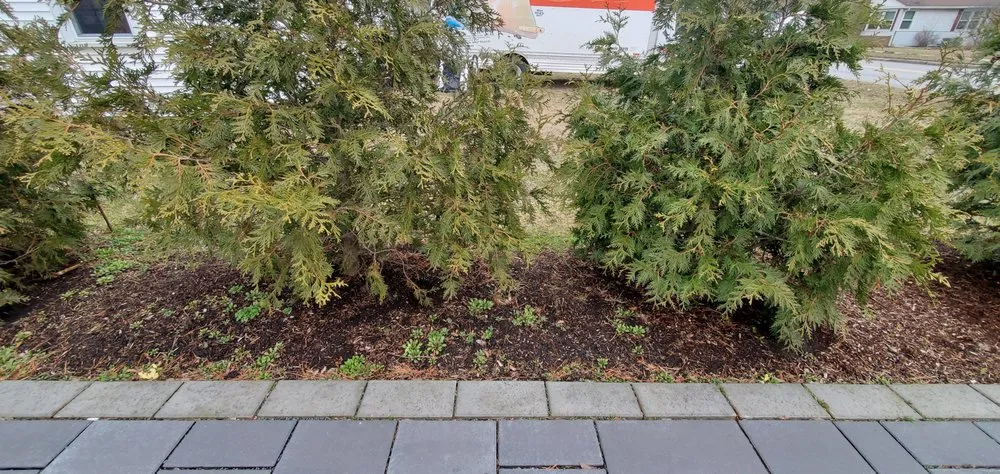 Affordable yard cleanup service with custom design across Colchester, VT - Precision Property Maintenance