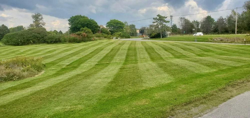 Reliable landscaping services in Colchester, VT by Precision Property Maintenance