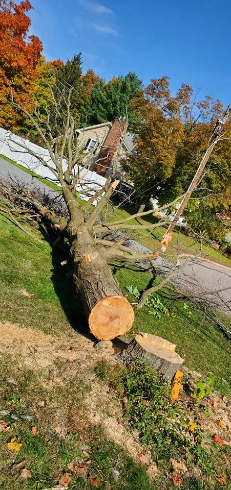 Local garden landscaping in Colchester, VT by Precision Property Maintenance