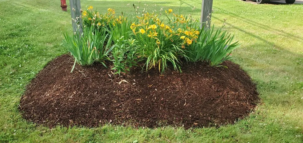 Trusted lawn care service for year-round maintenance across Colchester, VT - Precision Property Maintenance
