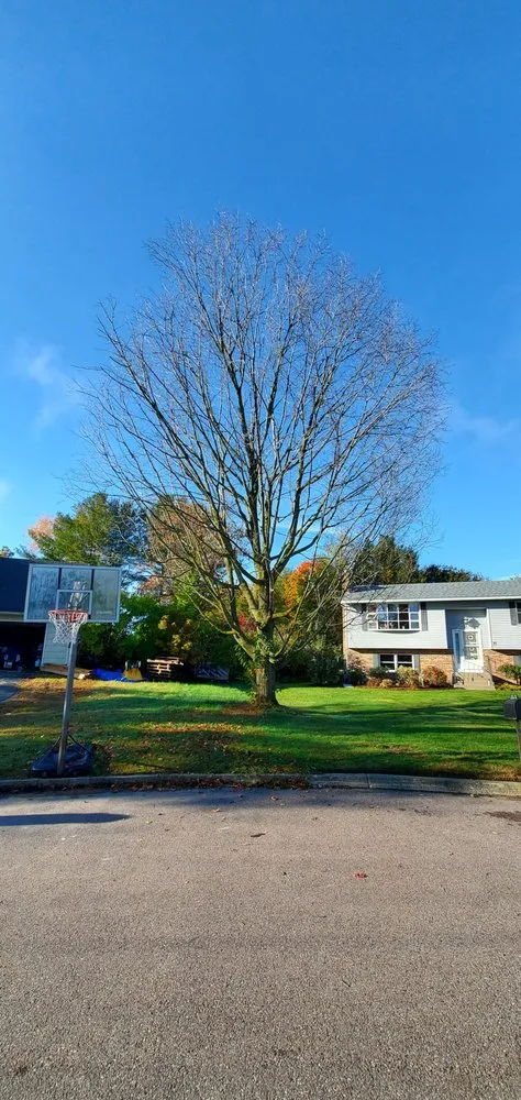 Local lawn mowing service in Colchester, VT - Precision Property Maintenance