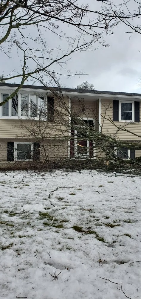 Top-rated yard cleanup service in Colchester, VT - Precision Property Maintenance