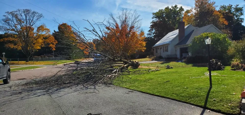 Top-rated landscape design with custom design across Colchester, VT - Precision Property Maintenance