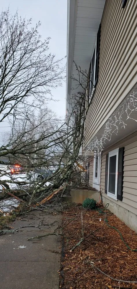 Trusted landscaping services in Colchester, VT - Precision Property Maintenance