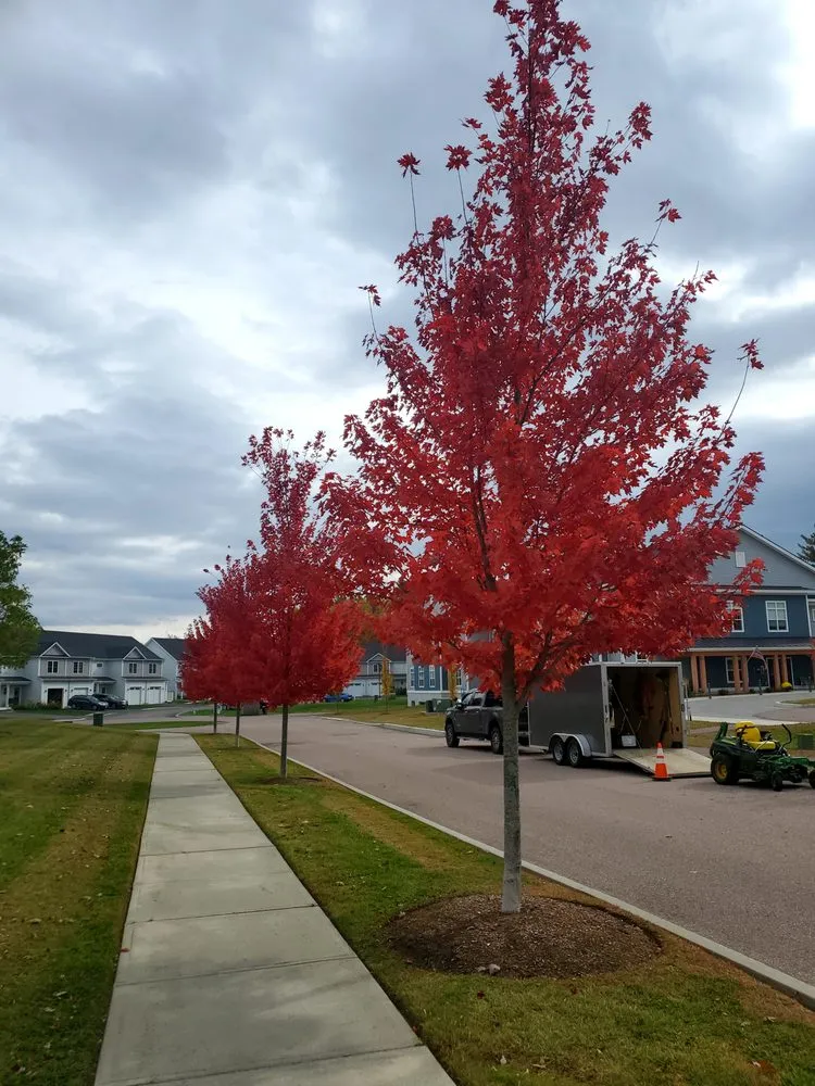 Reliable yard maintenance for beautiful yards in Colchester, VT by Precision Property Maintenance