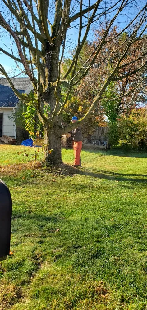 Top-rated landscaping services in Colchester, VT by Precision Property Maintenance