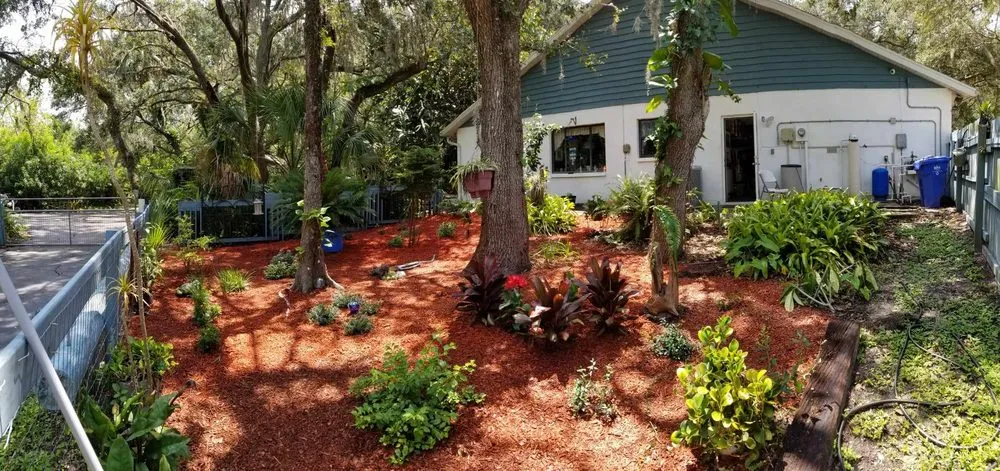 Expert outdoor landscaping in Spring Hill, FL by Precision Property Maintenance