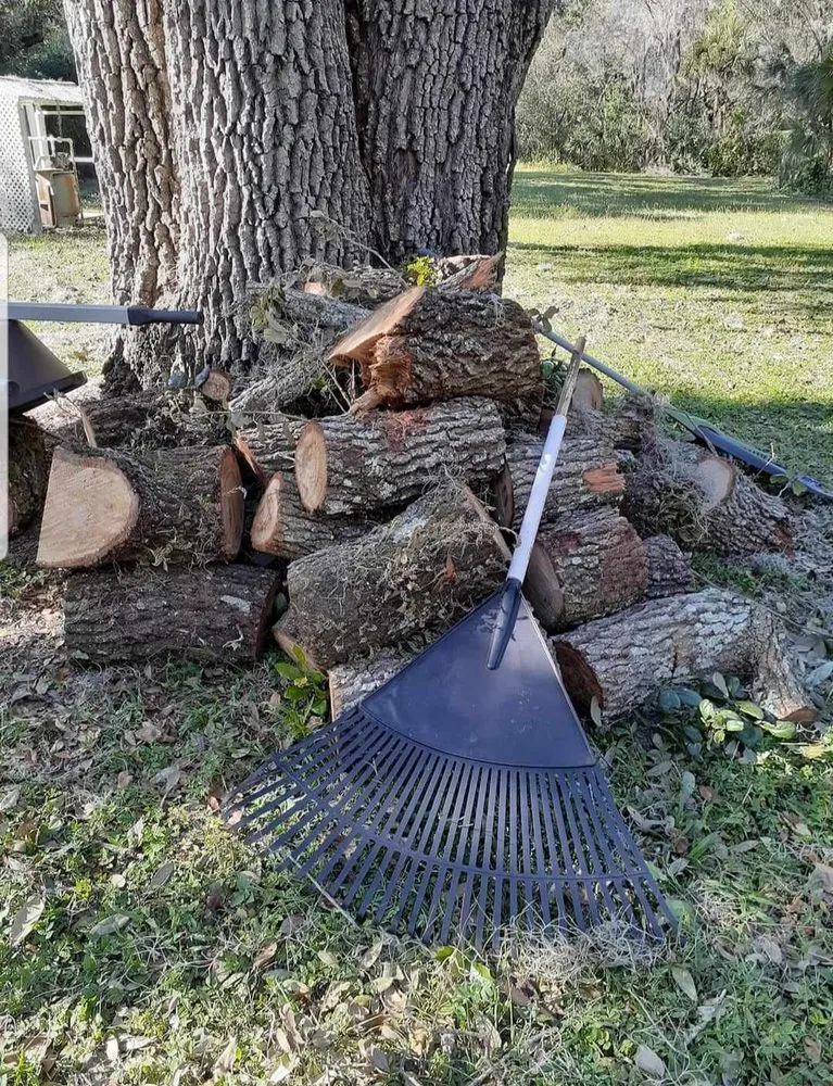 Expert lawn care service for year-round maintenance in Spring Hill, FL by Precision Property Maintenance