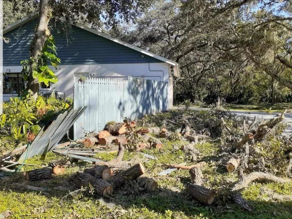 Expert garden landscaping experts serving Spring Hill, FL - Precision Property Maintenance