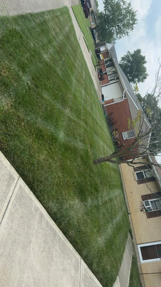 Trusted yard cleanup service in Germantown, OH by Precision Property Management