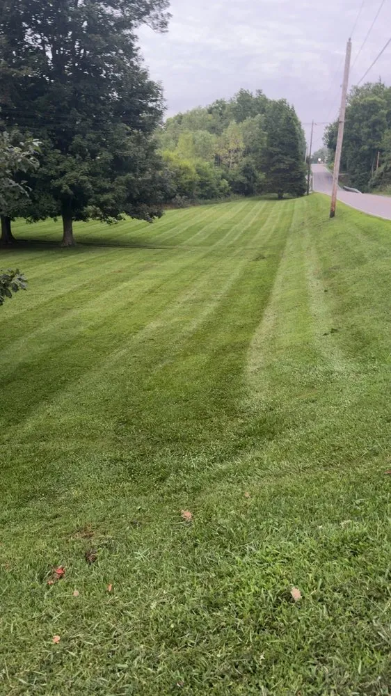 Reliable yard cleanup service in Germantown, OH by Precision Property Management