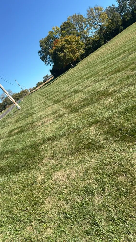 Trusted landscape design in Germantown, OH - Precision Property Management