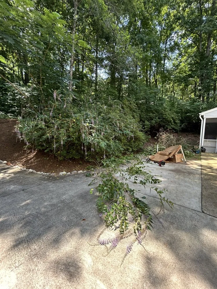 Reliable landscape installation in Walhalla, SC by Precision Property Management