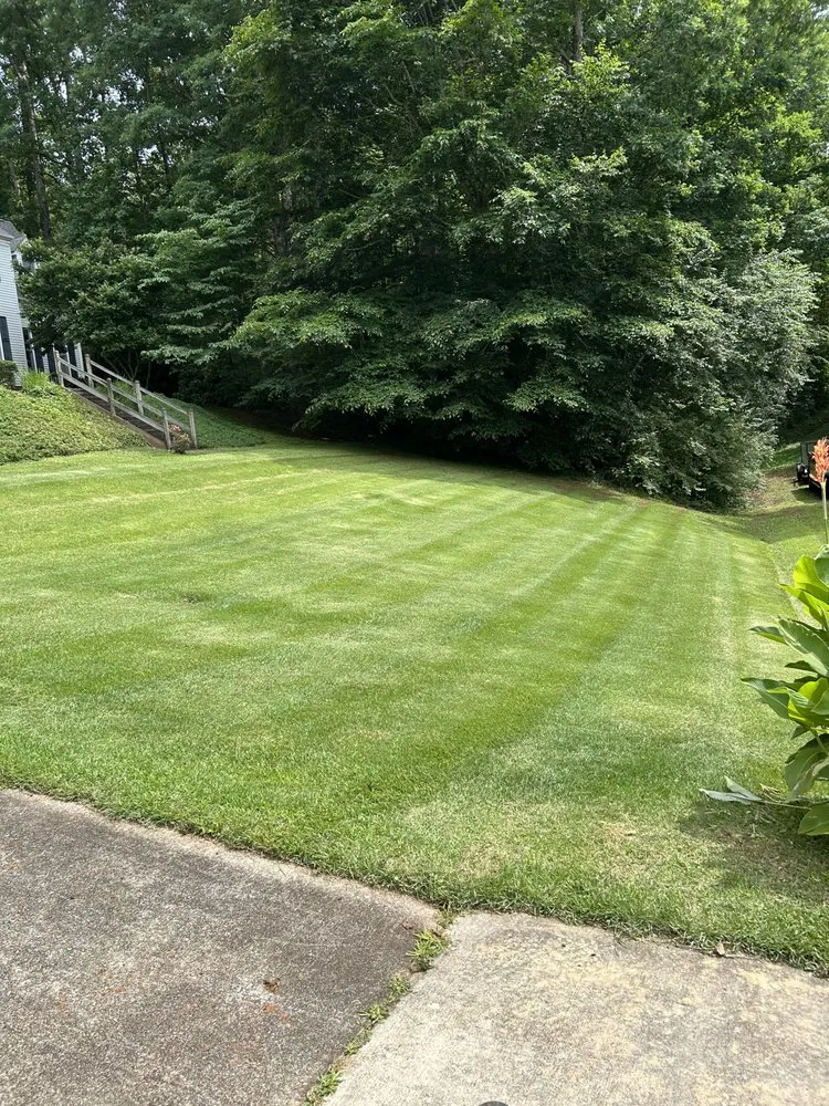 Reliable yard maintenance in Walhalla, SC - Precision Property Management
