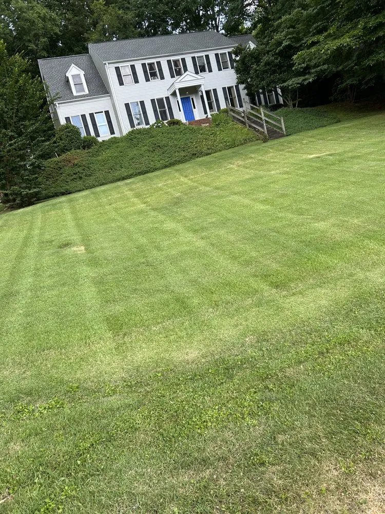 Professional landscape installation for homes in Walhalla, SC by Precision Property Management