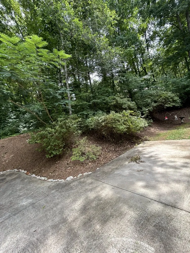 Top-rated yard maintenance for beautiful yards in Walhalla, SC by Precision Property Management