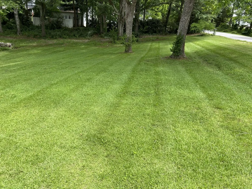 Expert yard maintenance near you in Walhalla, SC by Precision Property Management