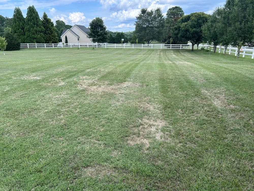 Trusted landscape design with custom design across Walhalla, SC - Precision Property Management