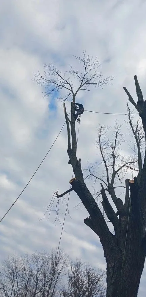 Trusted yard maintenance in Columbus, OH - Precision Property Pros