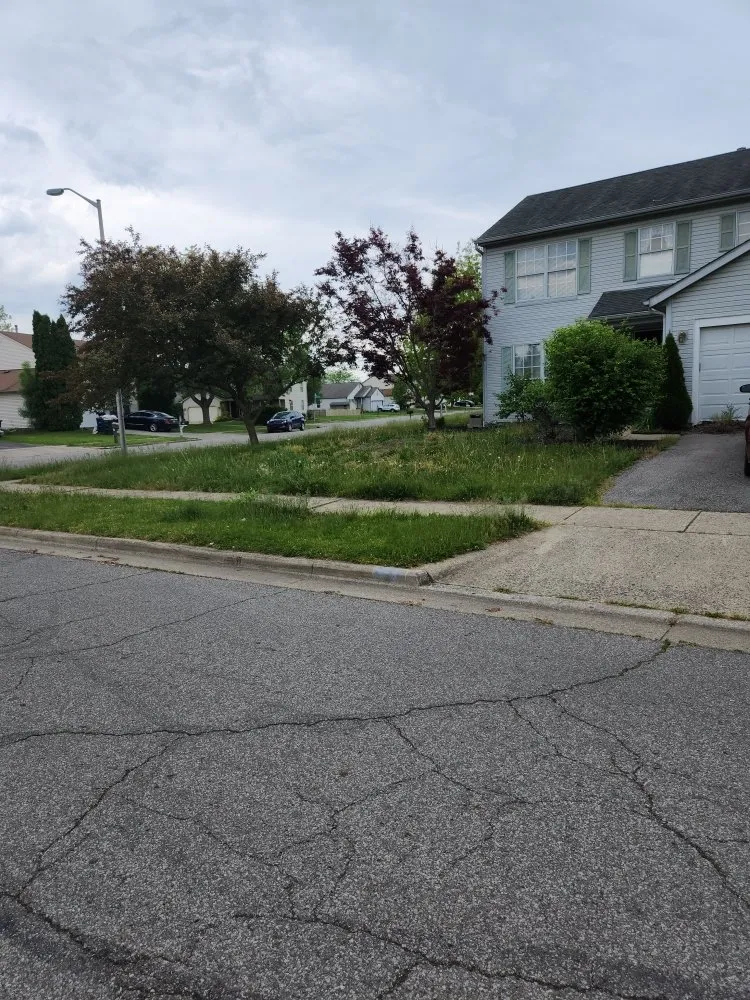 Affordable lawn care service for beautiful yards in Columbus, OH by Precision Property Pros