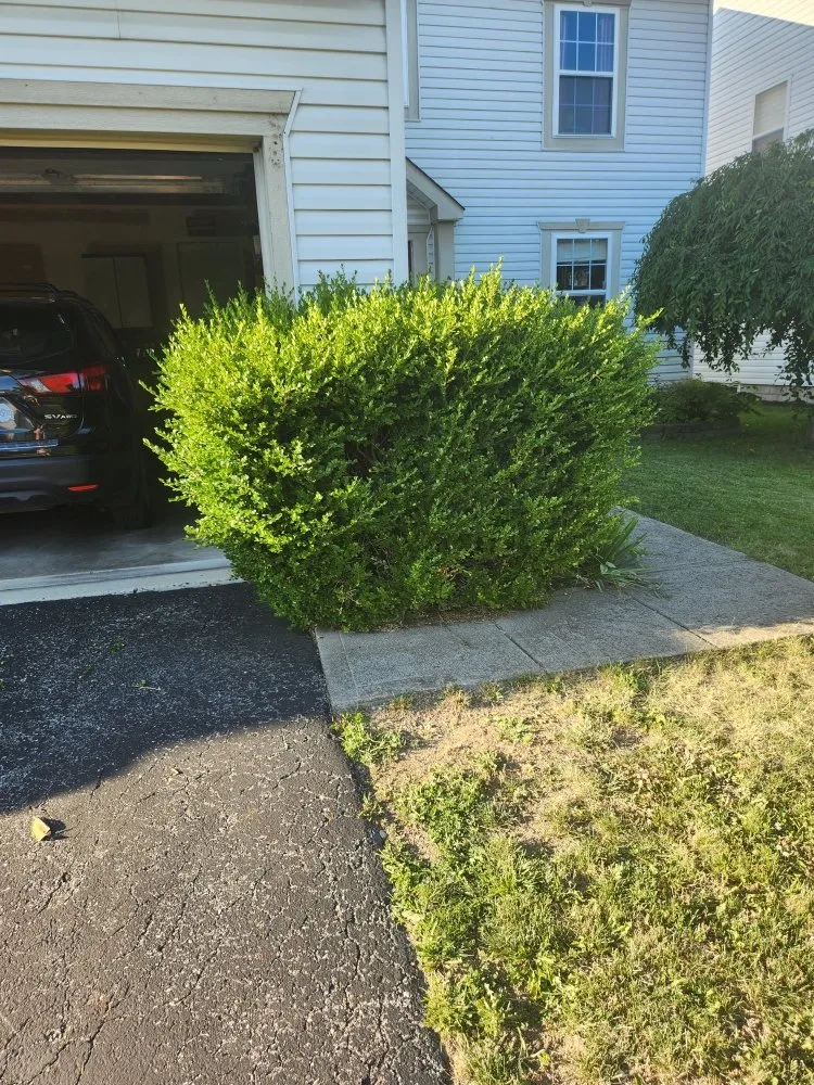 Professional garden landscaping in Columbus, OH - Precision Property Pros