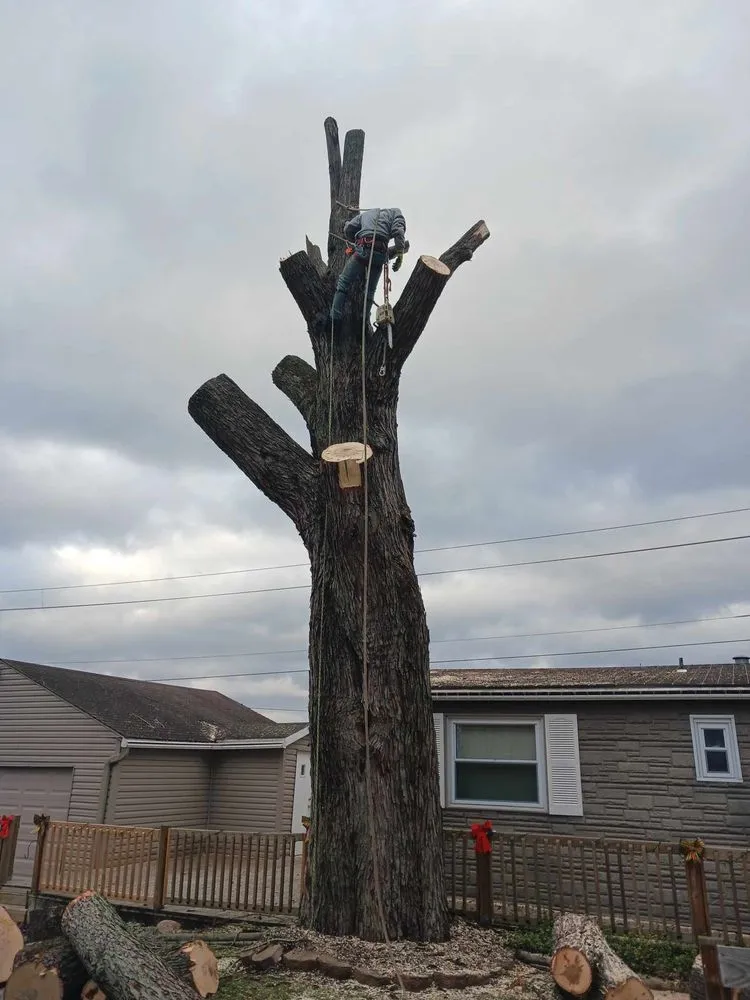 Local landscaping services experts serving Columbus, OH - Precision Property Pros