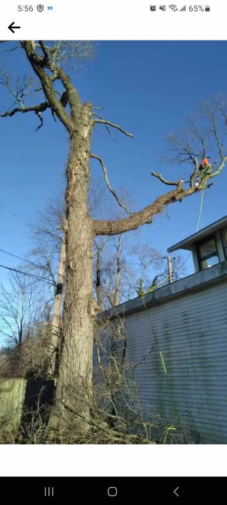 Custom outdoor landscaping experts serving Columbus, OH - Precision Property Pros