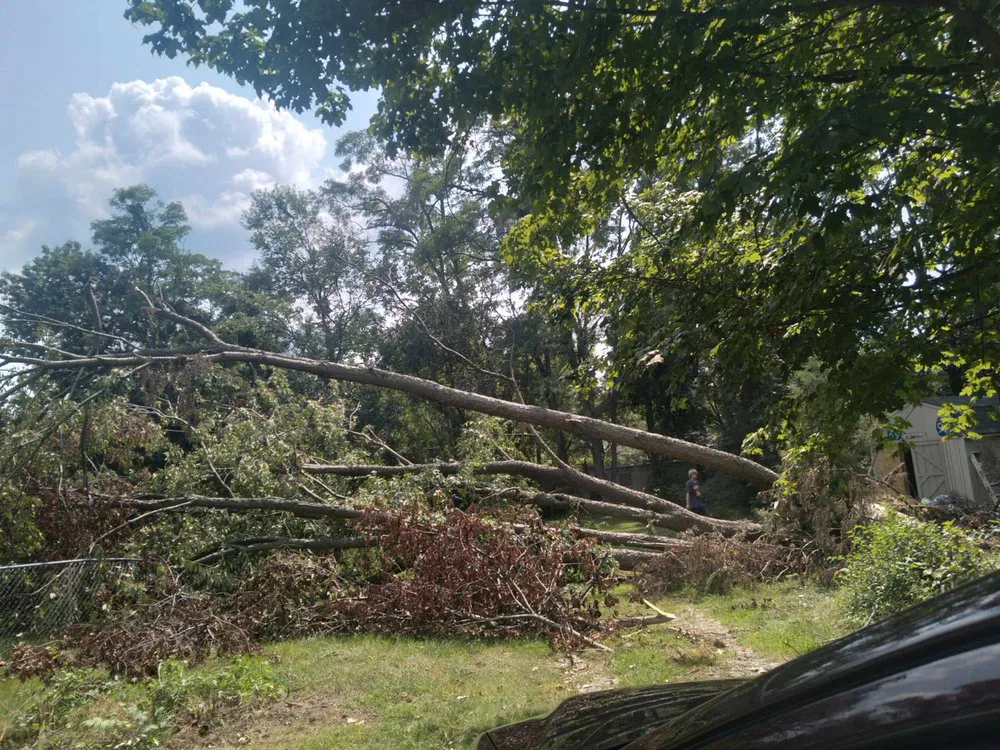 Expert lawn care service in Columbus, OH by Precision Property Pros