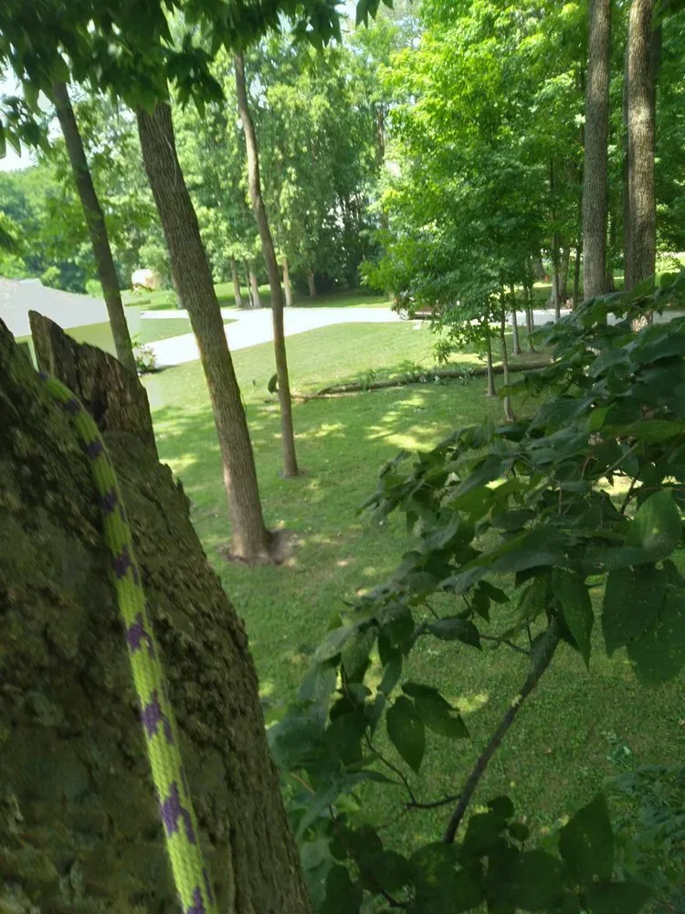 Professional outdoor landscaping for homes in Columbus, OH by Precision Property Pros